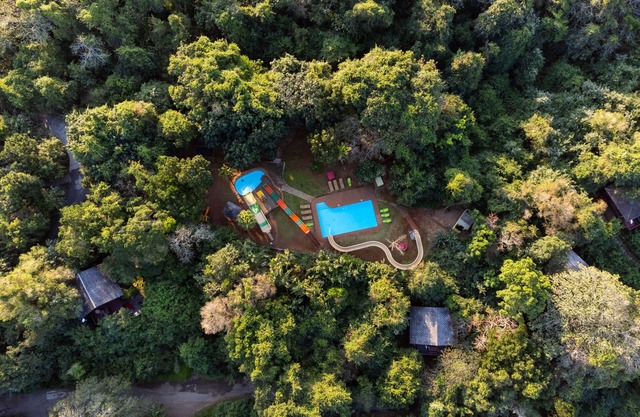 Mtunzini Forest Lodge Self Catering