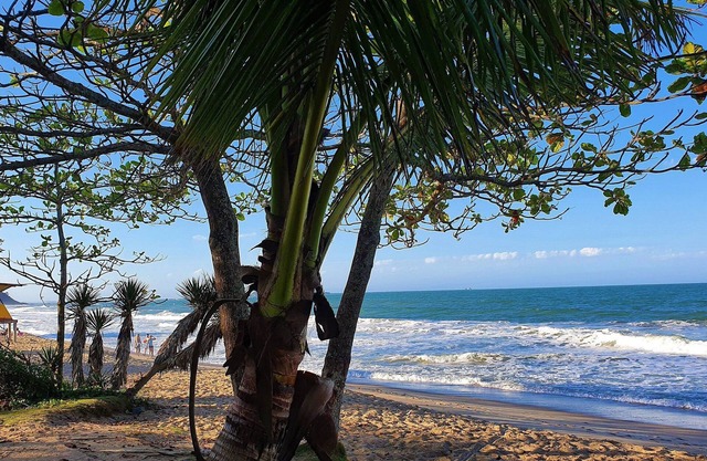 Nautilus Praia dos Corais - Penha - SC