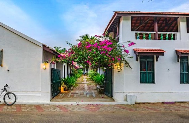 Neemrana's Coconut Alley
