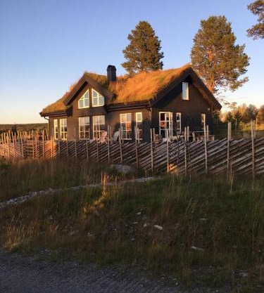 New and cozy family cabin on Golsfjellet