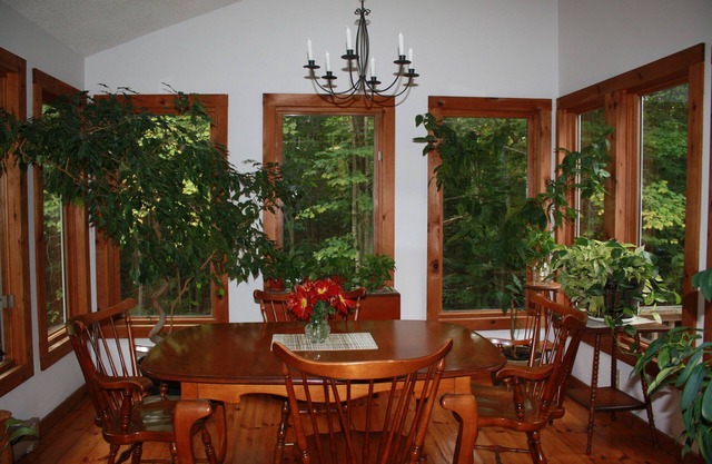 New Listing Contemporary Cottage in the Woods viewing a Private Spring Fed Pond