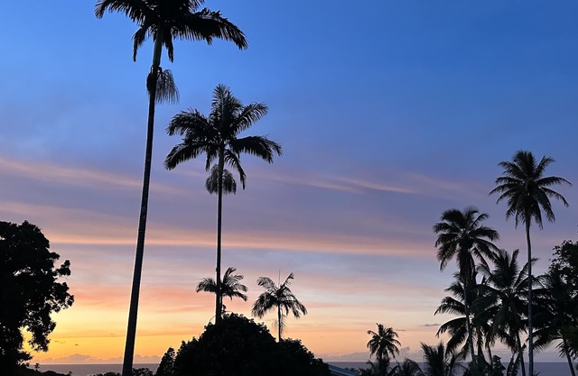 NEW! Ocean and stream views on the beautiful Hamakua Coast.