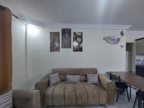 New zarqa