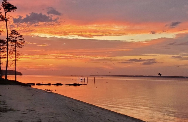 Newly Renovated, private beach, Oasis.