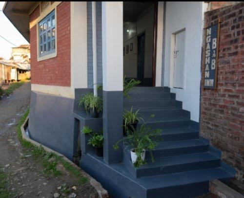 Ngashan Inn Guesthouse