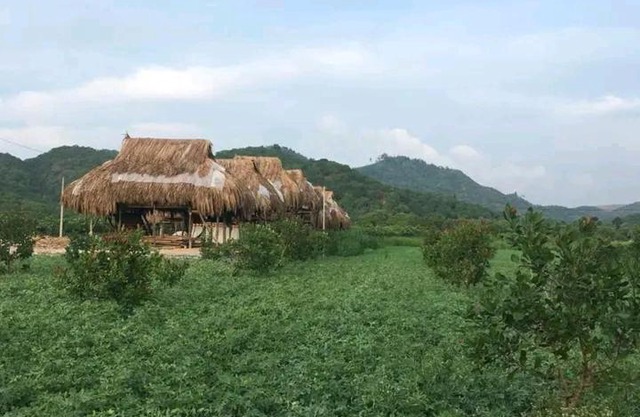 Nhà Nghỉ Ven Sông Nam Cát Tiên