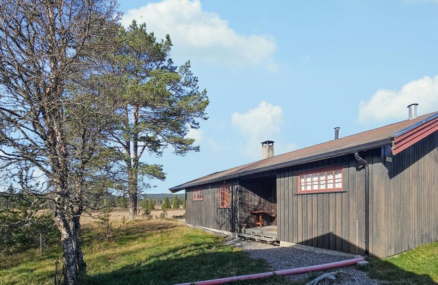Nice home in Gol with sauna
