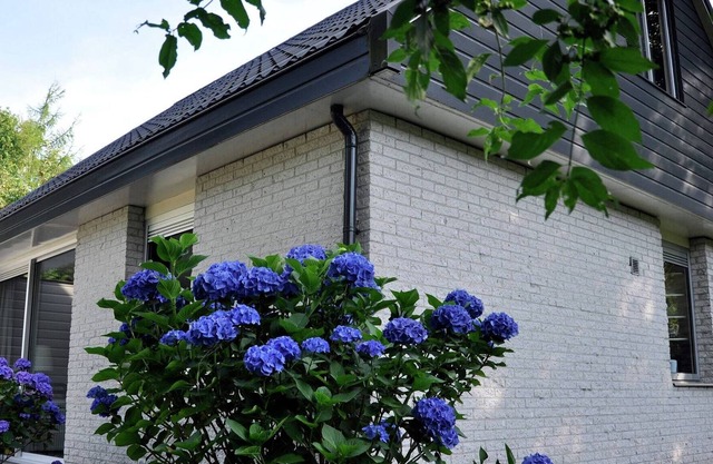 Nice house with a dishwasher, Giethoorn at 21 km