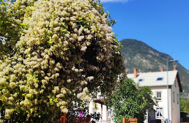 Nice little apartment under the roof of a former school