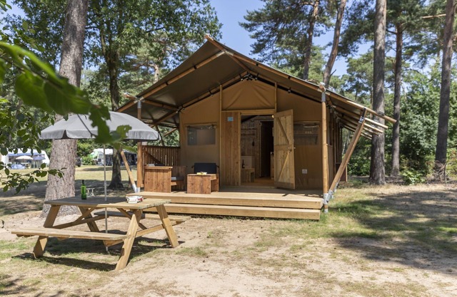 Nice safari tent with kitchen, 8 km. from Helmond
