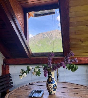 NINA Apartmani