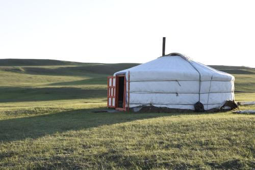 Nomad Equestrian Stable