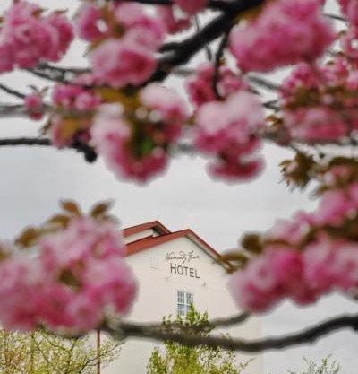Normandy Farm Hotel & Conference Center