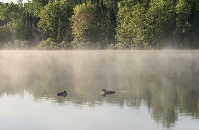 Northwoods waterfront upper one bedroom unit on the Spirit River Flowage.