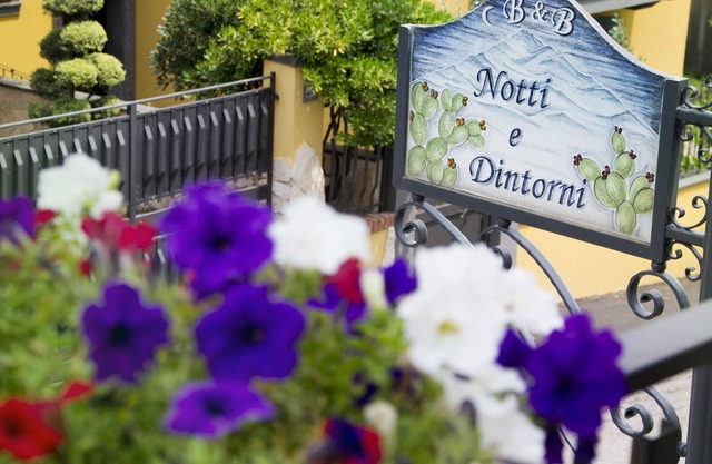 Notti e Dintorni