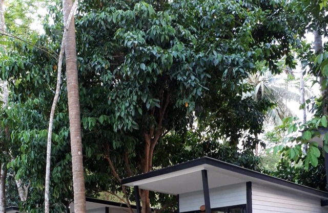 Num Chaykhong