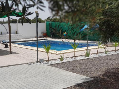 Oasis Pool in the Desert BBQ and Garden