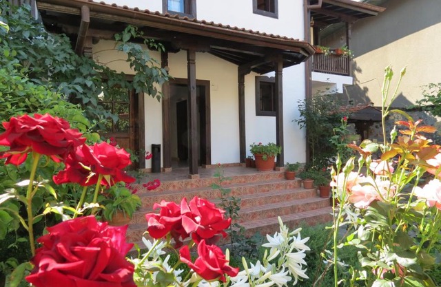 Oazis Guesthouse