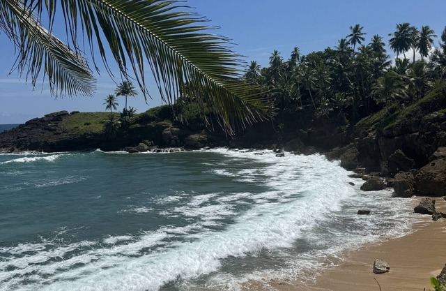 Ocean Breeze Oasis: 1BR Getaway Near the Shore