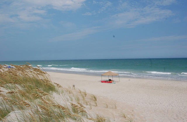 Ocean - Pool - Sound - Dock! Book Your Getaway Now !