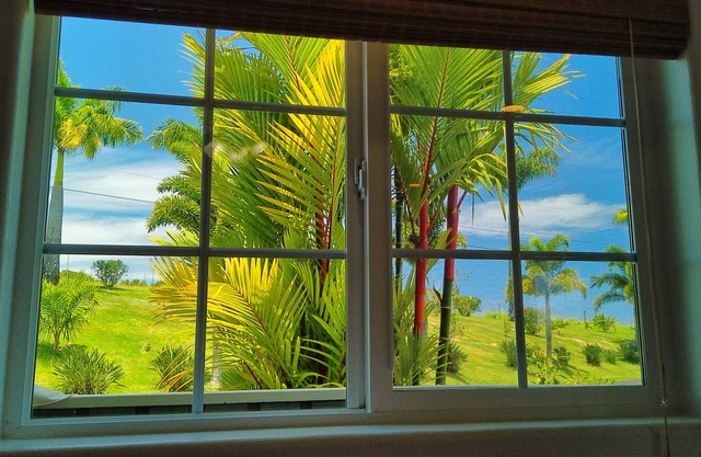 Ocean View Couple's Cottage with Fruit Orchard