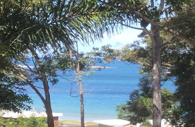 Ocean Views, Spotted Gums and Burrawangs