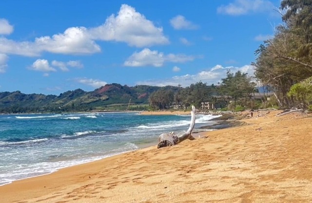 Ocean Views Top floor King Bed Beach Access Pools BBQ Renovated Unit with AC