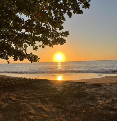 Oceanfront Retreat w- Terrace, Direct access to Beach & BBQ