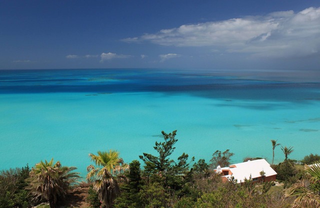 Oceanview Studio within walking distance to Hog Bay Nature Reserve