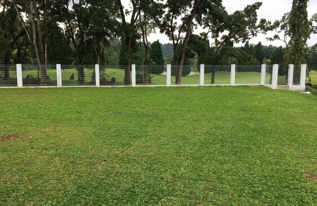 Ode to Joy - Home away from home