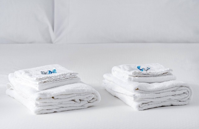 Olala Color Apartment 2A