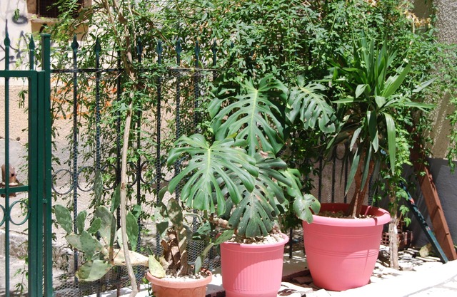 Old Town Venetian Studio by CorfuEscapes