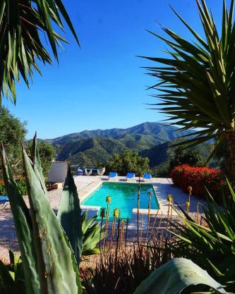 Olive Branch El Chorro