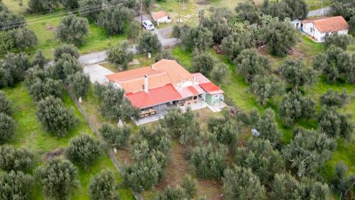 Olive Grove Getaway