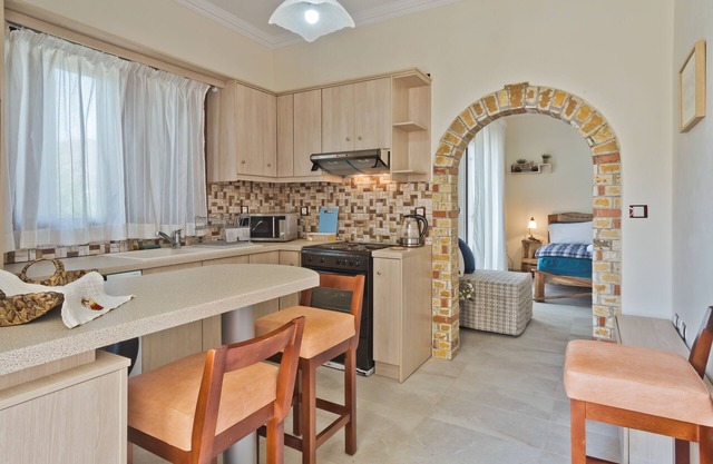 Olive Studios Karpathos Studio #1