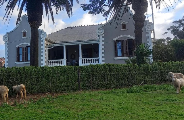 Olive Tree Guesthouse