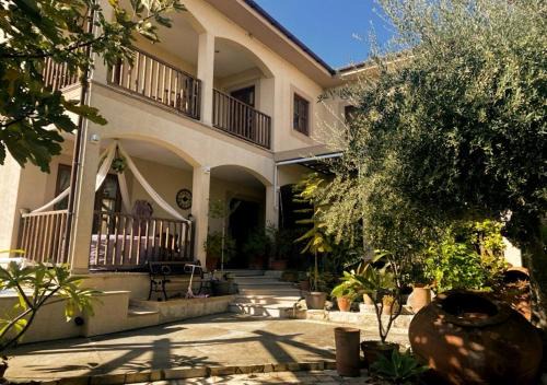 Olive Tree House