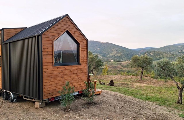 Olivo Nomade 2 by Tiny Away