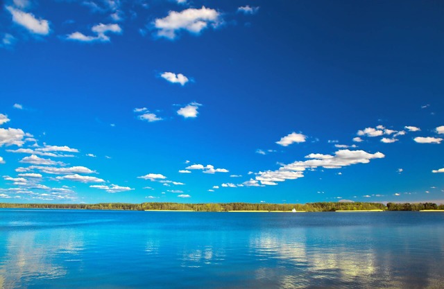 OMEO Clearlake Oaks
