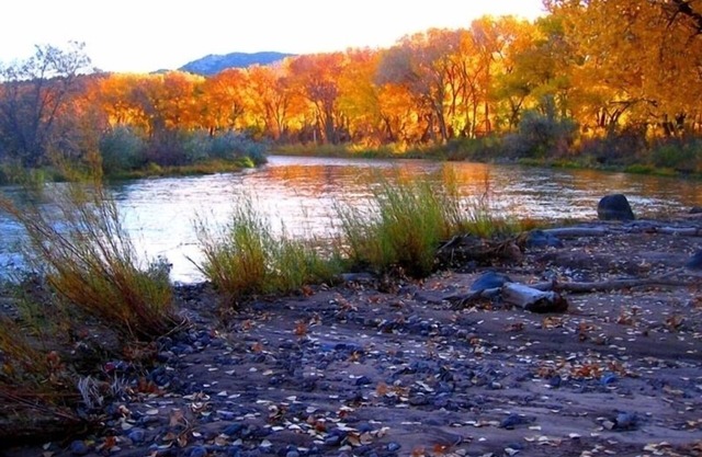 On the Rio Grande River! Rinconada Rio Grande Retreat