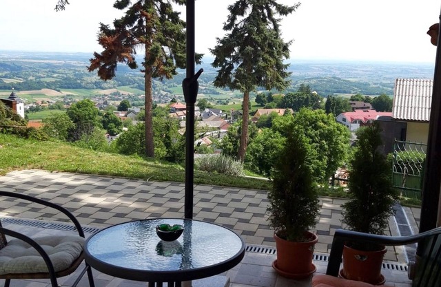 One bedroom apartment with terrace Kalnik, Podravina (A-22913-a)