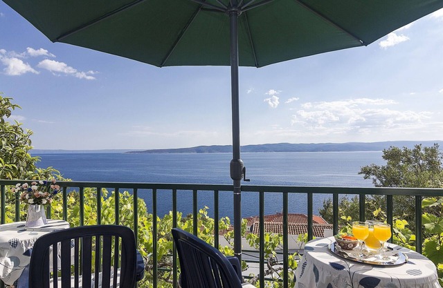 One bedroom apartment with terrace and sea view Brela, Makarska (A-11687-b)