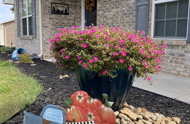 One level 3 BR/2 BA Home in Seymour!