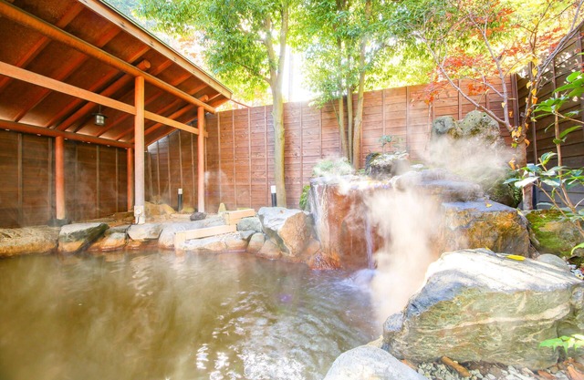 Ooedo Onsen Monogatari Premium Ikaho