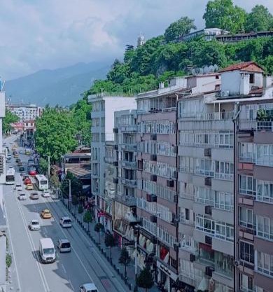 Osmangazi - Altiparmak Central 3 bedroom Apartment with view
