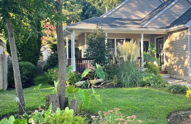 OSPREY NEST n 300+ ⭐️⭐️⭐️⭐️⭐️ Reviews! Secluded. Peaceful. Near beaches & town