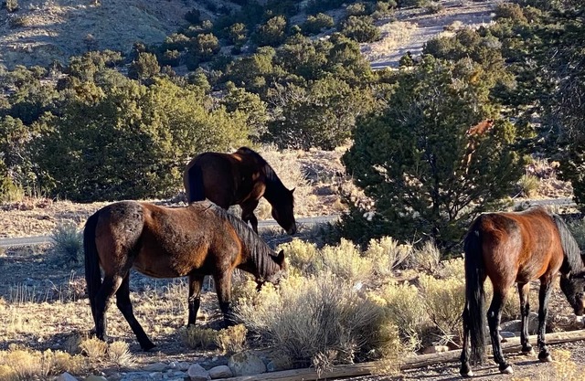 Outstanding Santa Fe charm throughout.