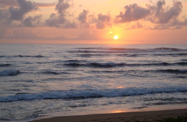 Over 350 Avg 5.0 Star Reviews Say It all! This Is The Best Deal On Kauai!n.