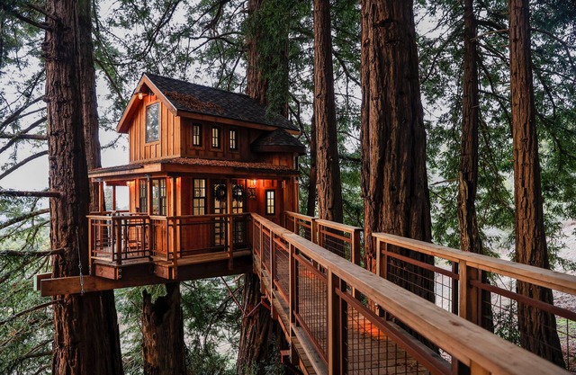 Pacific View Treehouse