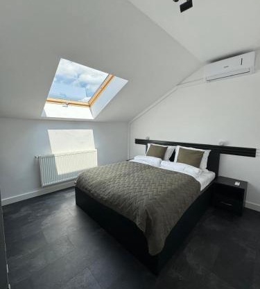 Panda Apartment Zorilor